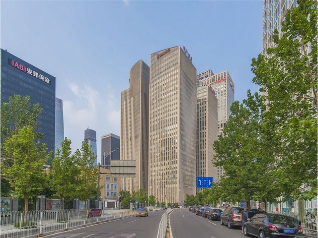 启东室外植物养护价钱